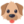 Dog_Face Dog_Face