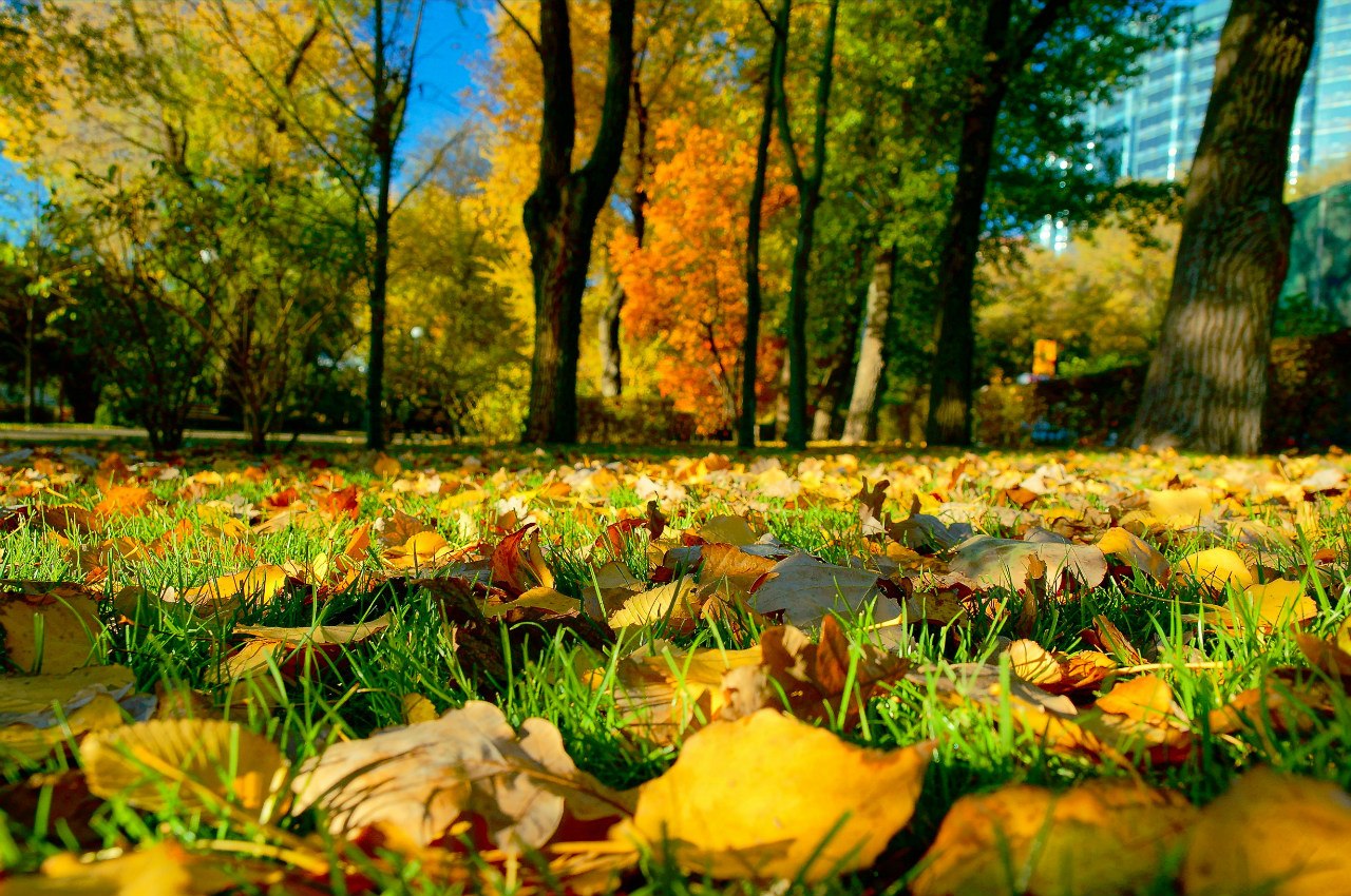 9W-gR2kwmnA.jpg 9W-gR2kwmnA.jpg