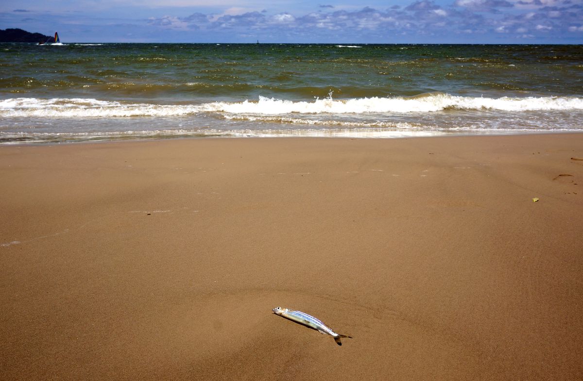 E o mar ali tão perto... / And the sea was so near...