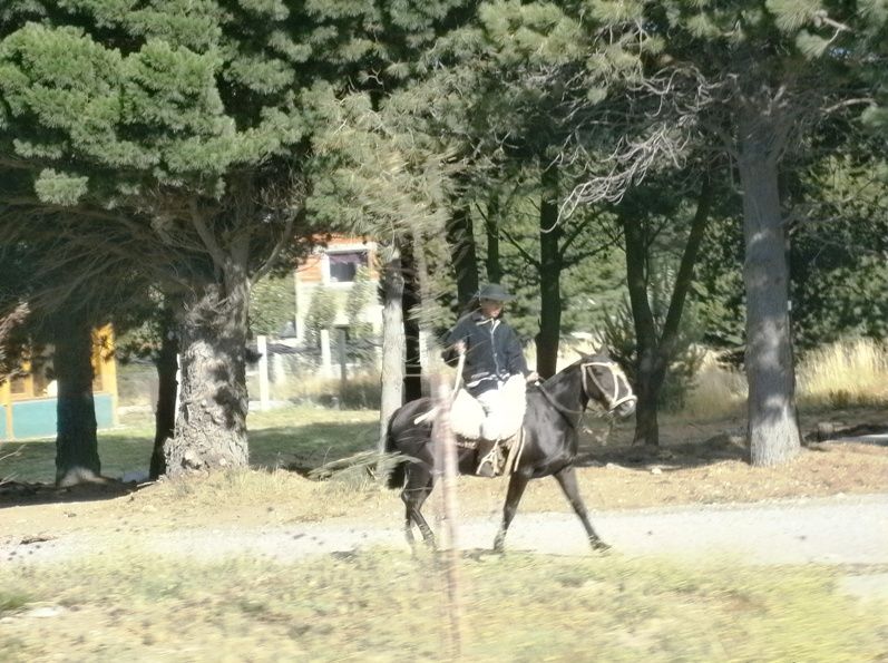 Horse riding - Bariloche, Argentina