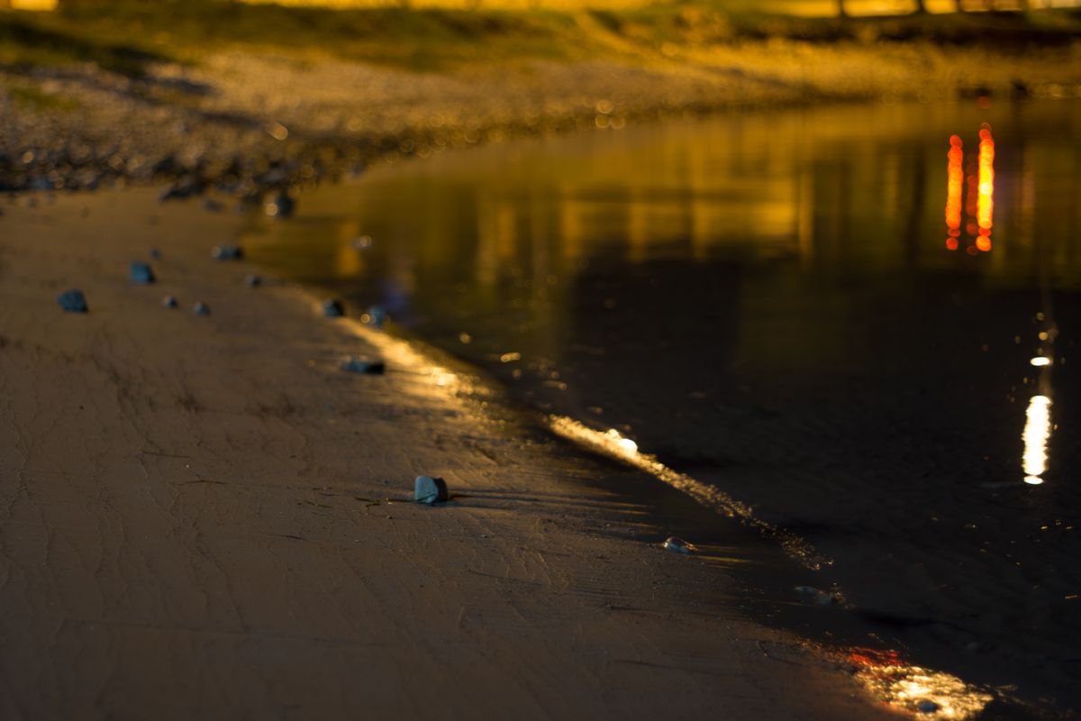 Erinnerungen an den Sommer