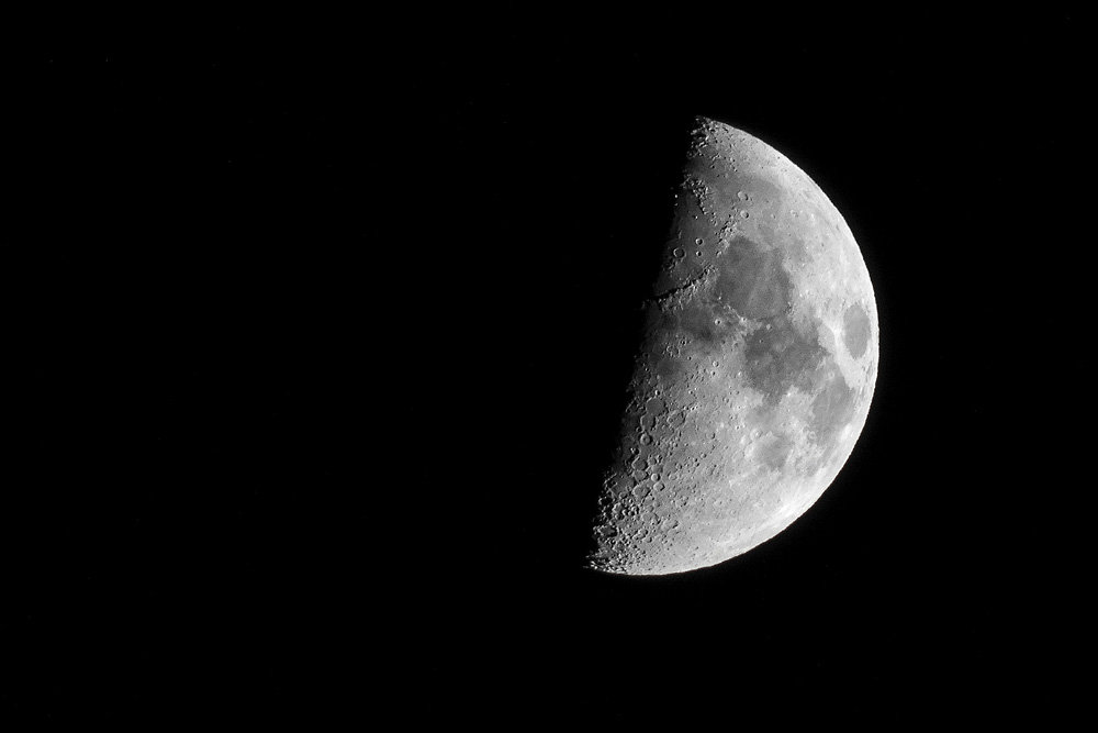 DSC_7484-1.jpg