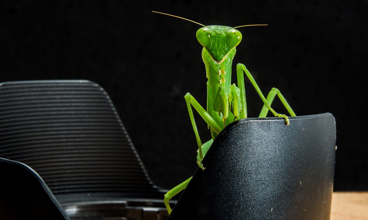 bug-camera-equipment-close-up-65687.jpg bug-camera-equipment-close-up-65687.jpg